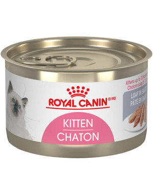 Royal Canin Royal Canin chaton conserve pâté 145g (24)