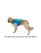 Ruffwear Ruffwear veste de flottaison blue dusk