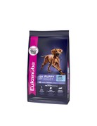 Eukanuba Eukanuba pour chiot grande race 33lbs -