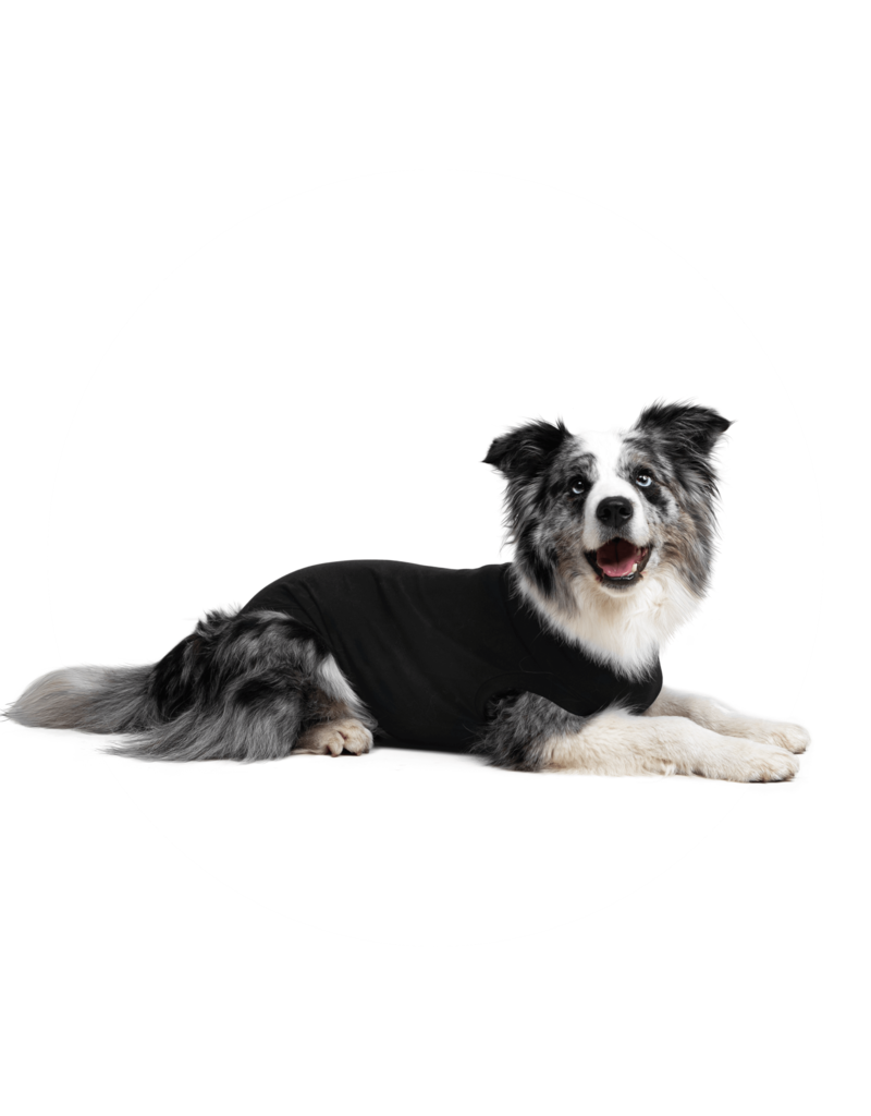 Suitical Recovery Suitical Recovery Suit pour chien noir petit