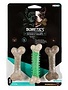 Hero Hero Bonetics ensemble de trois petits fémurs dentaires