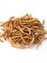 Maska Select Maska Select insectes séchés 150g