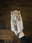 Chaton domestique roux Pascal