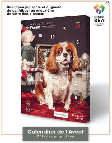 BEA Fondation BEA calendrier de l'Avent pour chien