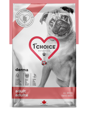 1st choice 1st Choice chien adulte derma 2kg