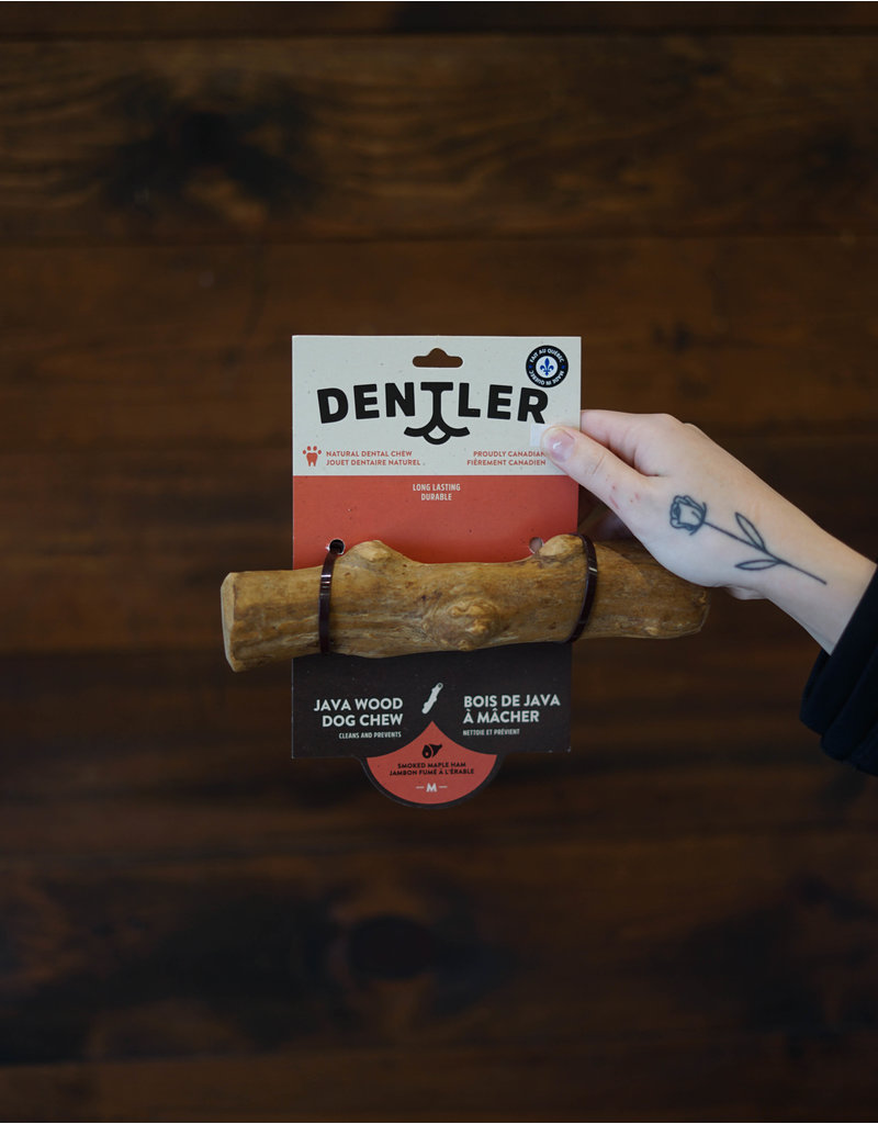 Dentler Jawgler bois de java fumé à l'érable moyen