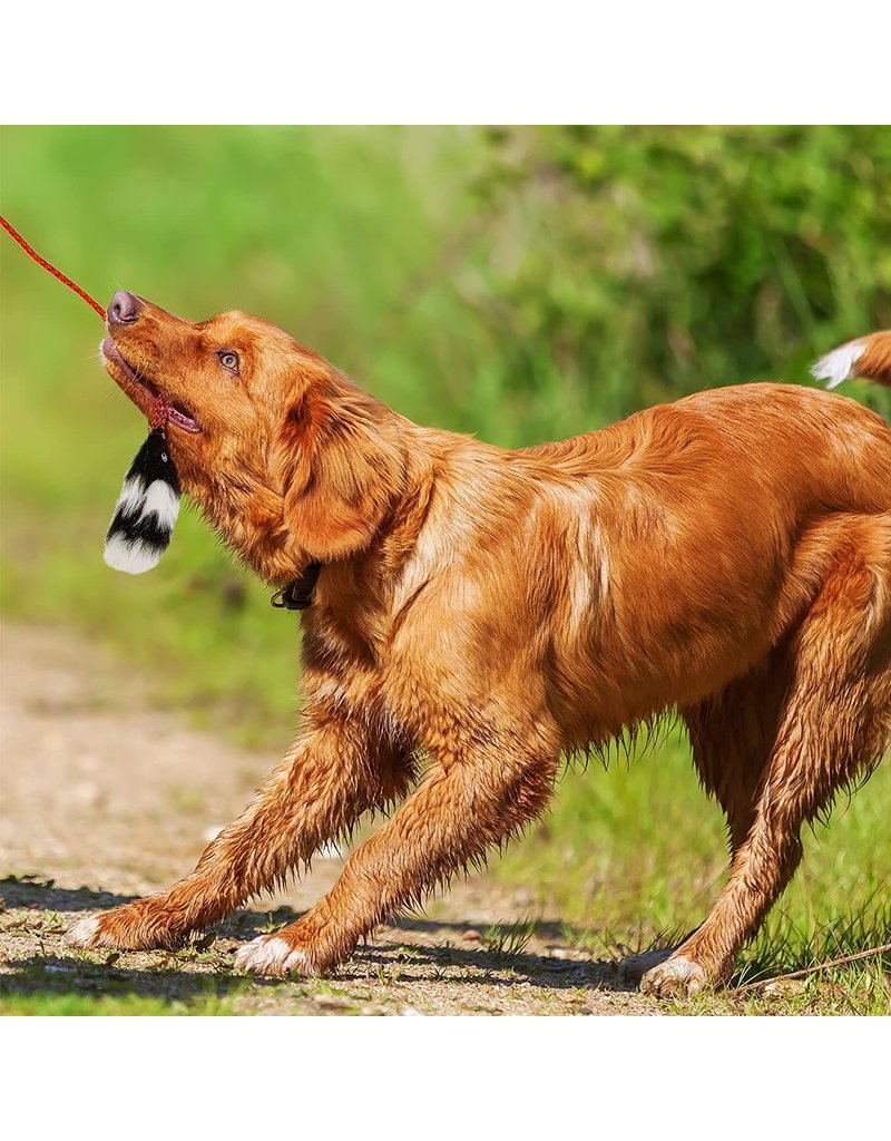 Outward hound Outward hound tail teaser pour chien
