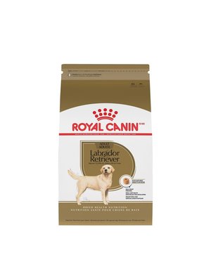 Royal Canin Royal Canin labrador