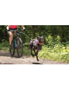 Nahak Nahak ligne bungee pour bikejoring noir