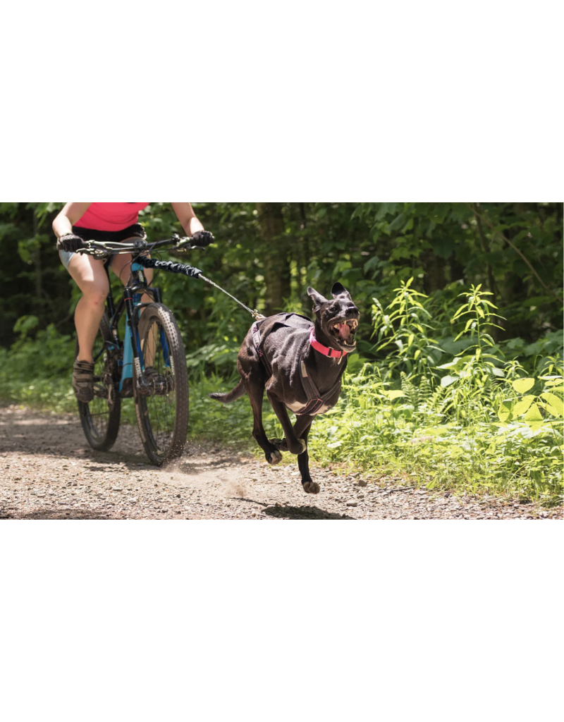 Nahak Nahak ligne bungee pour bikejoring noir