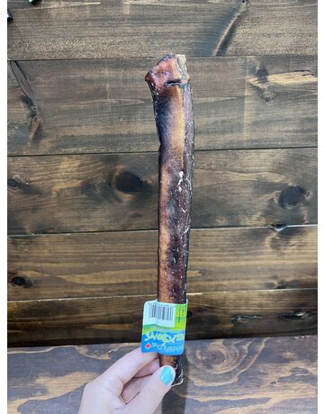 Nature's Own Nature's Own jumbo bully stick sans odeur (25)
