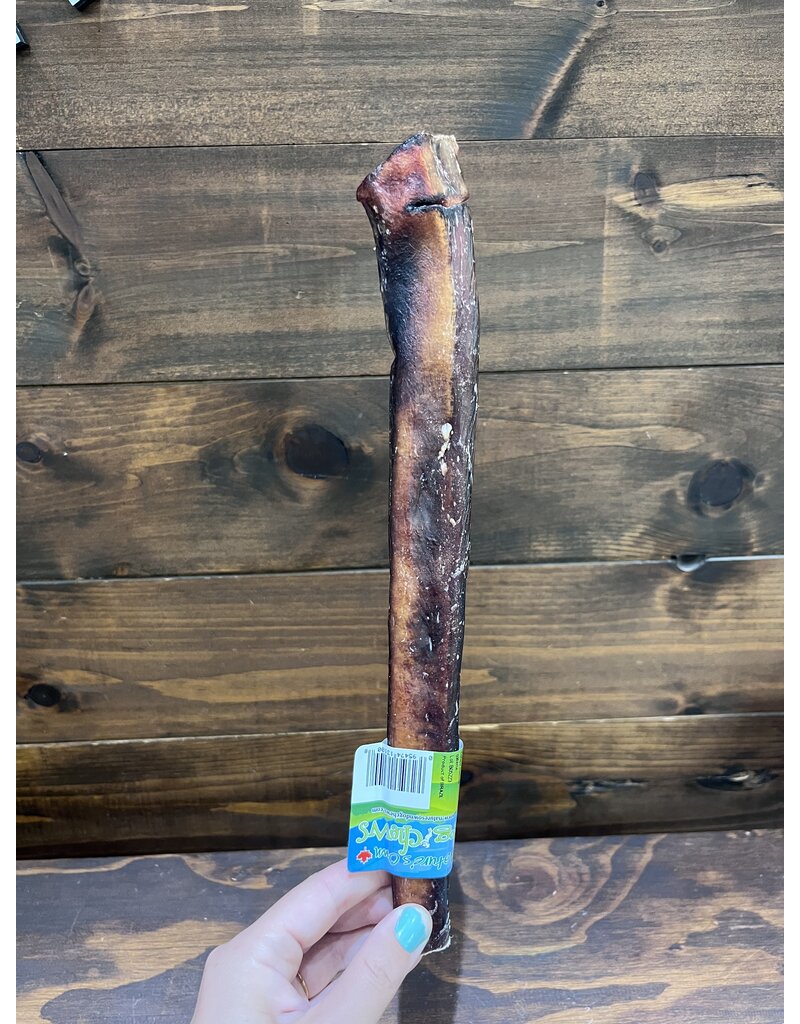 Nature's Own Nature's Own jumbo bully stick sans odeur (25)