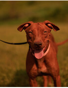Victoria (F) rescapée texas