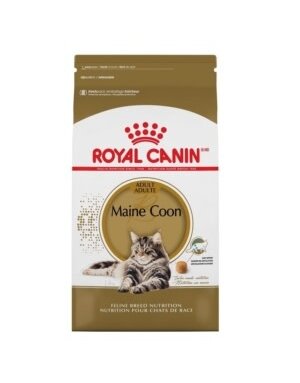 Royal Canin Royal Canin nourriture sèche pour chat Maine Coon 6 lb
