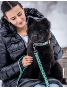 Tella & Stella Tella & Stella collier pour chien chalet d'hiver