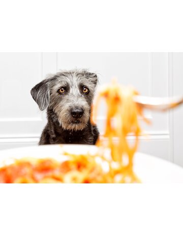 Souper spaghetti au profit de la mission Texas 15 octobre PRIX ENFANT