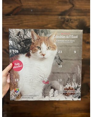 BEA Fondation BEA, Calendrier de l'Avent pour chat