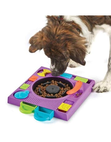 Brightkins Brightkins puzzle feeder DJ doggo