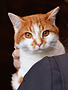 Alphonse (M)