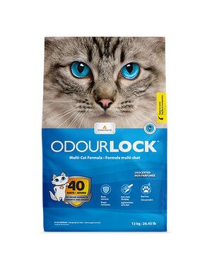 Intersand Odourlock litière agglomérante non parfumée 12kg