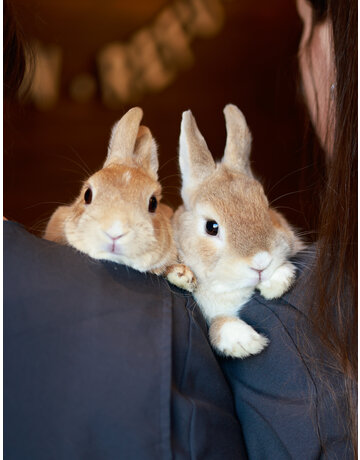 Noisette et Cachou (F & M)