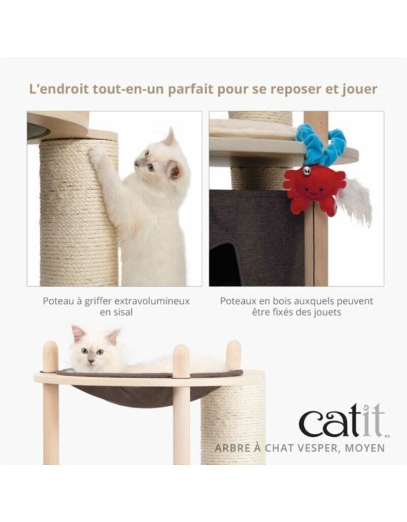 Vesper Vesper, arbre à chat moyen