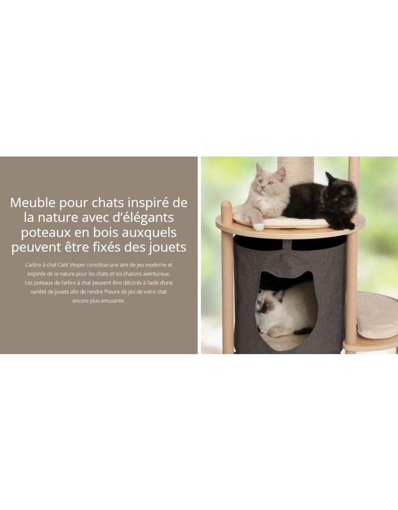 Vesper Vesper, arbre à chat moyen