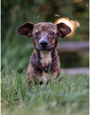 Fred (M)