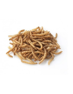 Maska Select Maska Select insectes séchés 5 kg (11 lb)