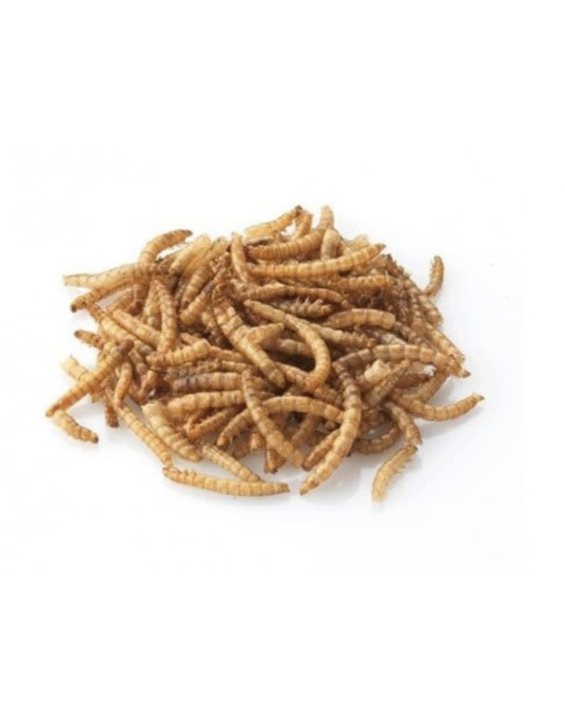 Maska Select Maska Select insectes séchés 5 kg (11 lb)