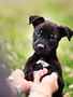 Edgar (M)
