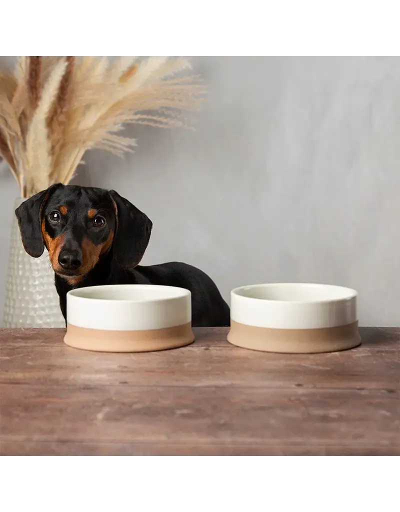 Scruffs Scruffs scandi non-tip pet bowl