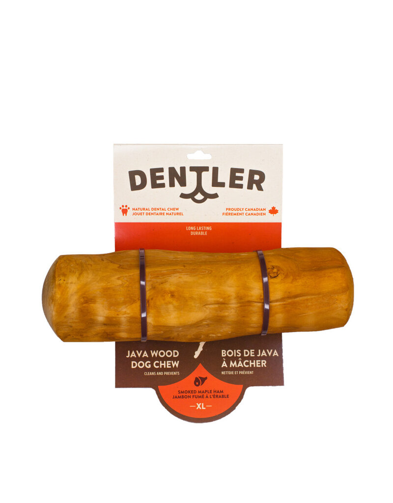 Dentler Dentler bois de java fumé à l'érable très grand *