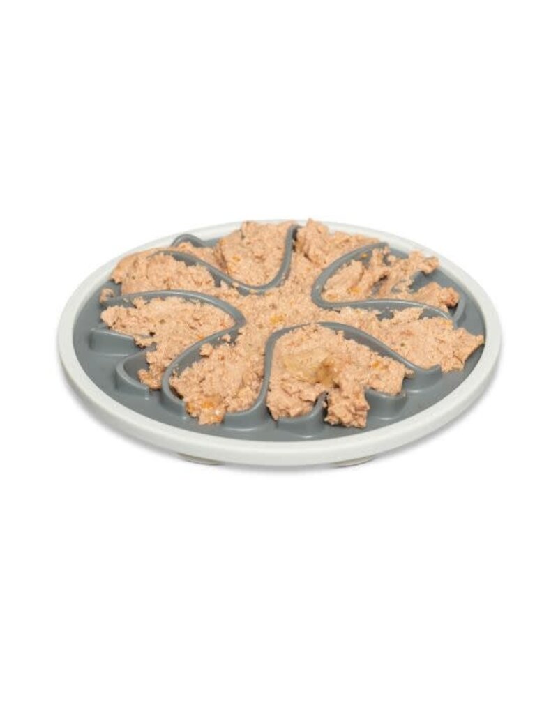 Messymutts Messy Cats bol ralentisseur à ventouses pour chat