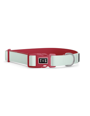 Tella & Stella Tella & Stella collier pour chien turquoise