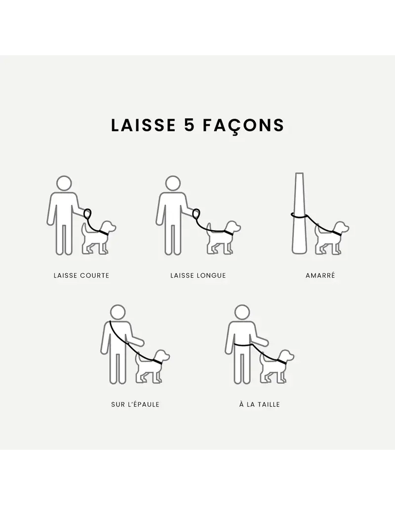 Tella & Stella Tella & Stella laisse 5 façons Lila