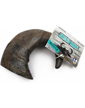 QT dog QT buffalo corne grande (6)
