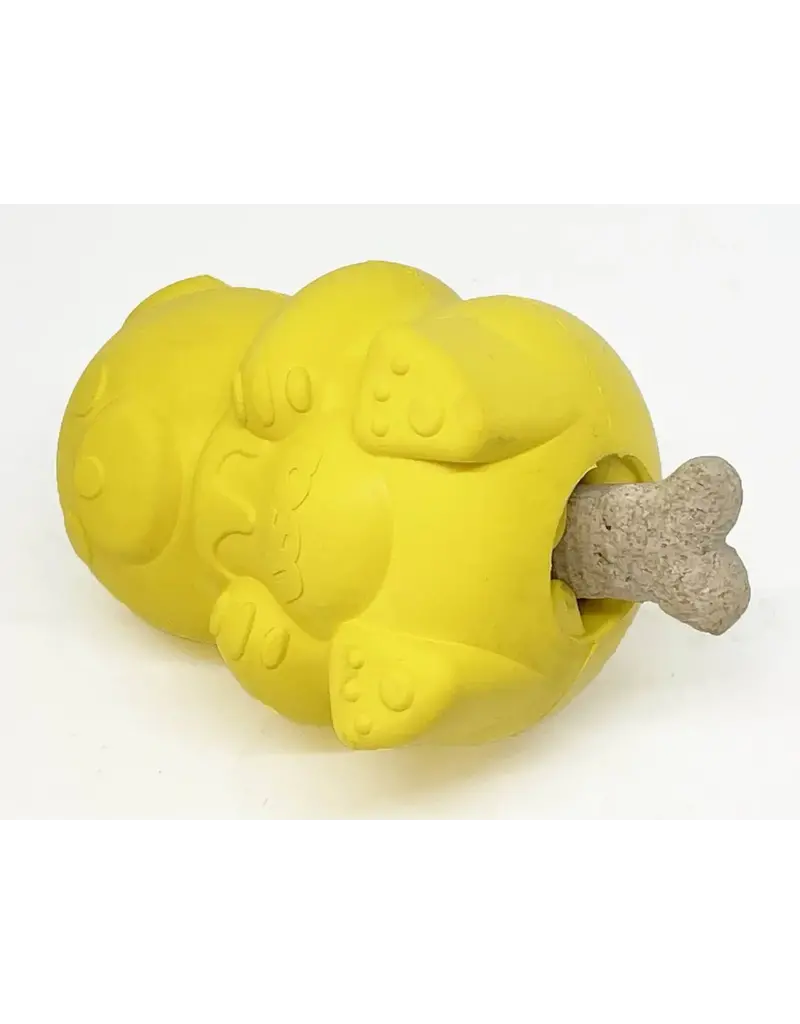 Soda Pup SodaPup ours à miel jouets distributeur