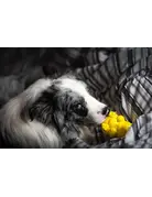 Soda Pup SodaPup ours à miel jouets distributeur