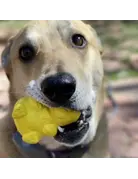 Soda Pup SodaPup ours à miel jouets distributeur
