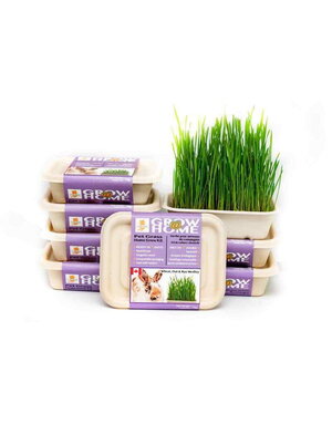 Grow at Home Grow at Home kit de culture mélange d'herbes pour lapin