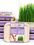 Grow at Home Grow at Home kit de culture mélange d'herbes pour lapin