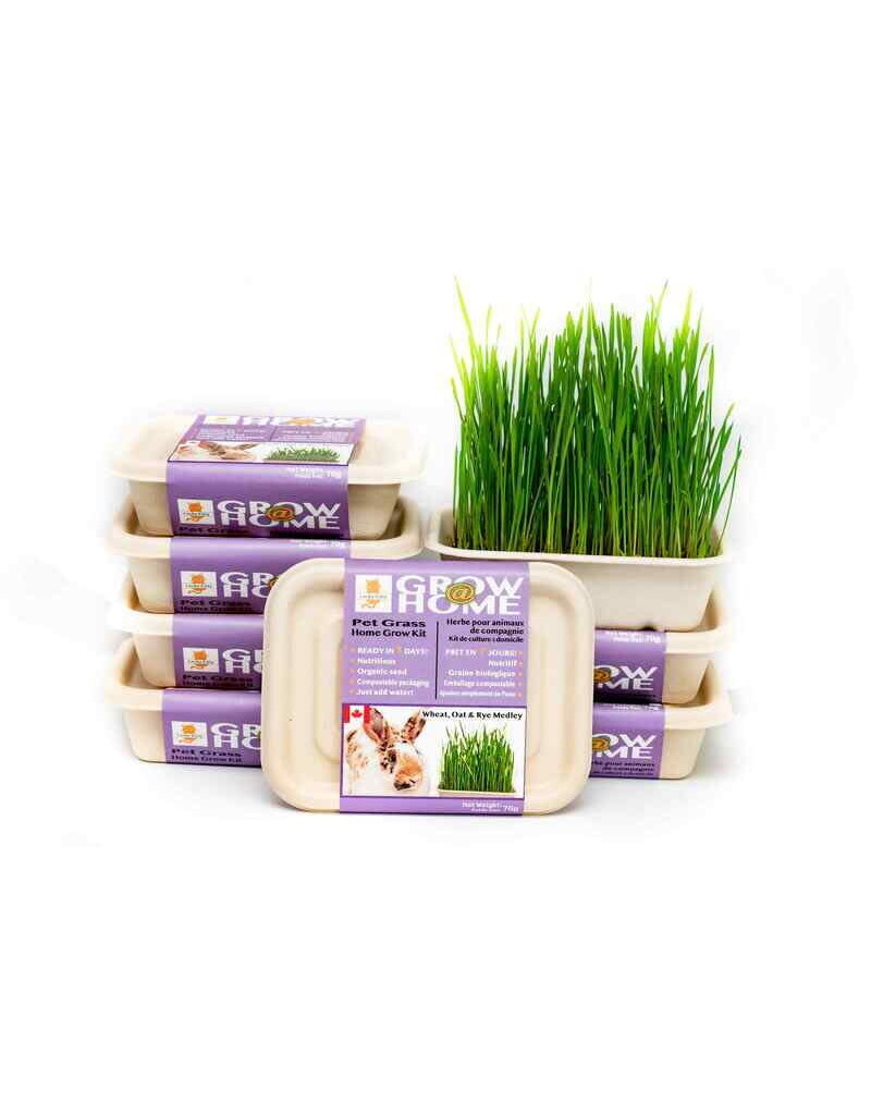 Grow at Home Grow at Home kit de culture mélange d'herbes pour lapin