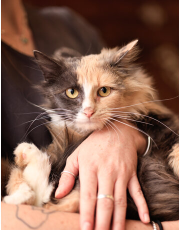 FRAISINETTE