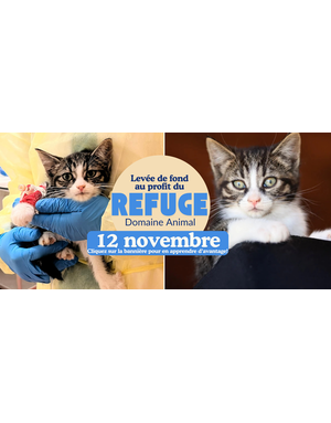 Billet campagne de levée de fond