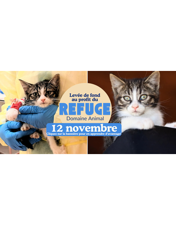 Billet campagne de levée de fond