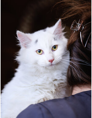 ALBUS