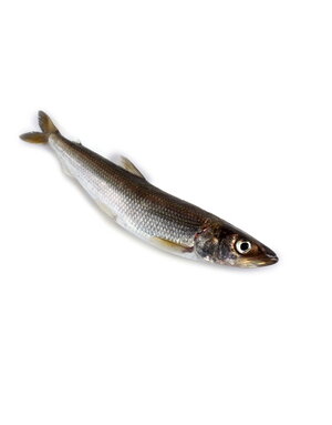 Gourmet 4 pattes Gourmet 4 pattes sardines en sac