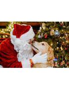 Photo avec le Père Noël