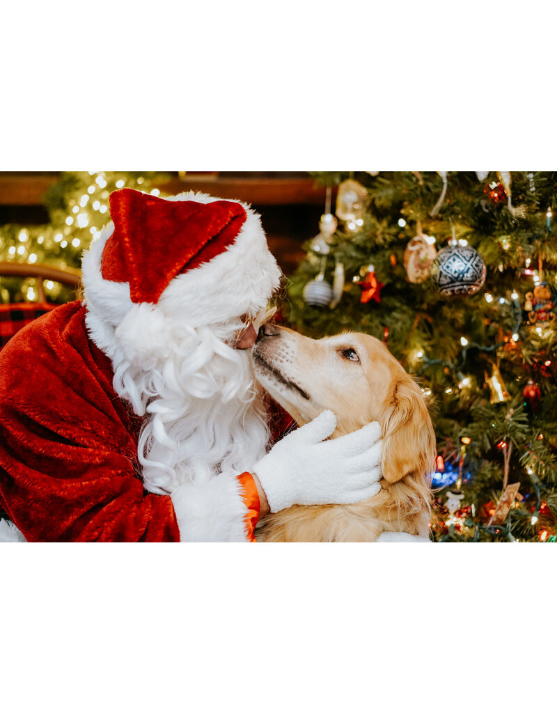 Photo avec le Père Noël